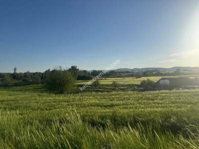 Merkez Avcılı Da 3.823M2 Hazır Bahçe 36