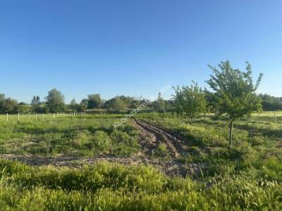 Merkez Avcılı Da 3.823M2 Hazır Bahçe 18