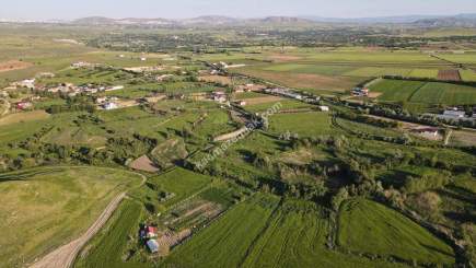 Merkez Avcılı Da 3.823M2 Hazır Bahçe 13