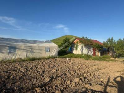 Merkez Avcılı Da 3.823M2 Hazır Bahçe 23