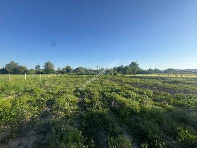 Merkez Avcılı Da 3.823M2 Hazır Bahçe 35