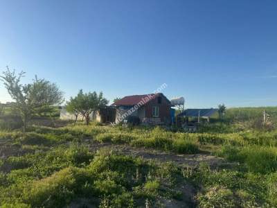 Merkez Avcılı Da 3.823M2 Hazır Bahçe 30