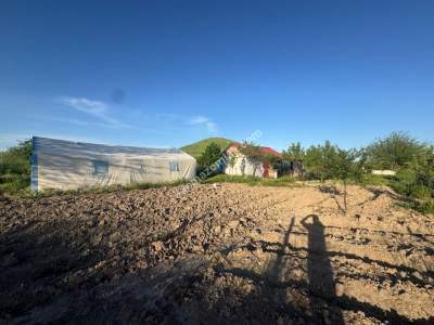 Merkez Avcılı Da 3.823M2 Hazır Bahçe 21