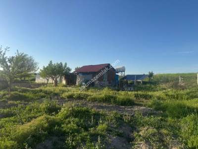 Merkez Avcılı Da 3.823M2 Hazır Bahçe 32