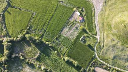 Merkez Avcılı Da 3.823M2 Hazır Bahçe 17