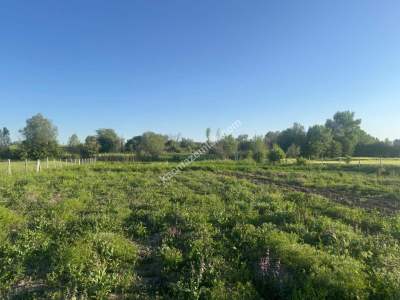 Merkez Avcılı Da 3.823M2 Hazır Bahçe 34