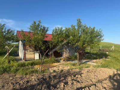 Merkez Avcılı Da 3.823M2 Hazır Bahçe 20