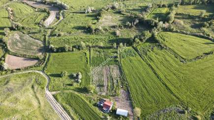 Merkez Avcılı Da 3.823M2 Hazır Bahçe 1