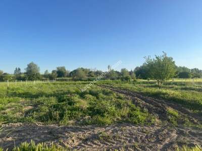 Merkez Avcılı Da 3.823M2 Hazır Bahçe 29