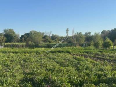 Merkez Avcılı Da 3.823M2 Hazır Bahçe 33