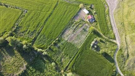 Merkez Avcılı Da 3.823M2 Hazır Bahçe 15