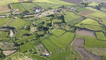 Merkez Avcılı Da 3.823M2 Hazır Bahçe 11