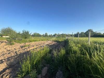 Merkez Avcılı Da 3.823M2 Hazır Bahçe 22