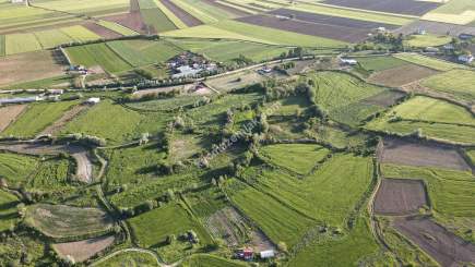 Merkez Avcılı Da 3.823M2 Hazır Bahçe 4