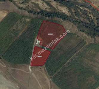 Erzincan Çayırlı' Da Satılık Sulu Tarla 1