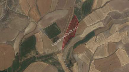 Erzincan Çayırlı Çaykent Köyünde Satılık Tarla. 1