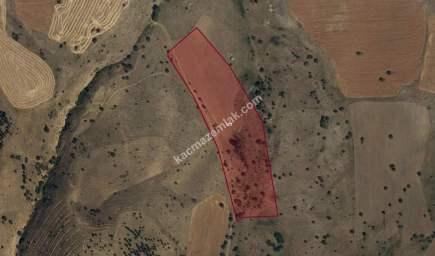 Erzincan Çayırlı Çaykent Köyünde Satılık Tarla. 2