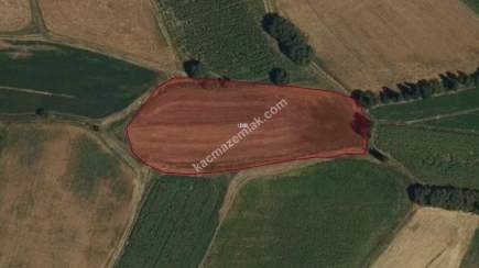 Erzincan Çayırlıda Satılık 9,400 M2 Sulu Tarla