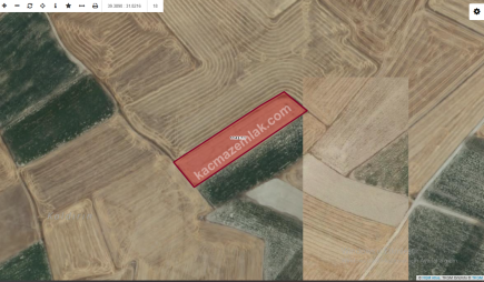 Eskişehir Günyüzü'nde Satılık Tarla 3