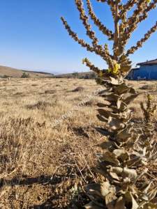 Eskişehir Buldukpınarda Yatırımlık Tarla