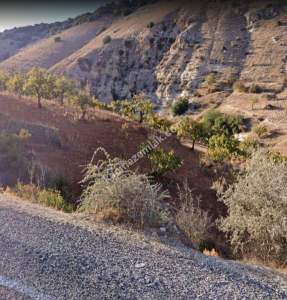 Asfalta Sıfır Nizip Tatlıcakda 560M2 Tek Tapu Fıstıklık 12