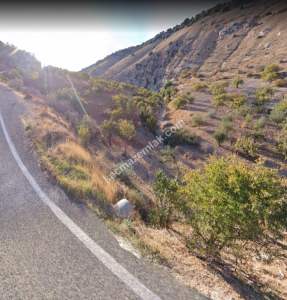 Asfalta Sıfır Nizip Tatlıcakda 560M2 Tek Tapu Fıstıklık 10