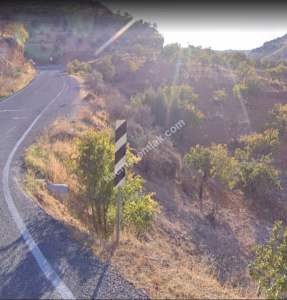 Asfalta Sıfır Nizip Tatlıcakda 560M2 Tek Tapu Fıstıklık 2