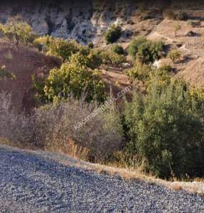 Asfalta Sıfır Nizip Tatlıcakda 560M2 Tek Tapu Fıstıklık 8