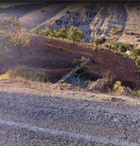 Asfalta Sıfır Nizip Tatlıcakda 560M2 Tek Tapu Fıstıklık 6