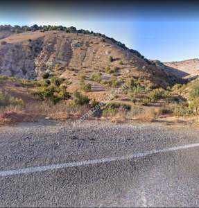 Asfalta Sıfır Nizip Tatlıcakda 560M2 Tek Tapu Fıstıklık 18