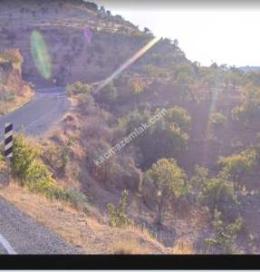 Asfalta Sıfır Nizip Tatlıcakda 560M2 Tek Tapu Fıstıklık 15