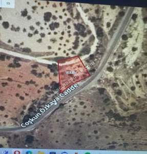 Asfalta Sıfır Nizip Tatlıcakda 560M2 Tek Tapu Fıstıklık 11