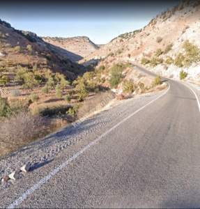 Asfalta Sıfır Nizip Tatlıcakda 560M2 Tek Tapu Fıstıklık 5