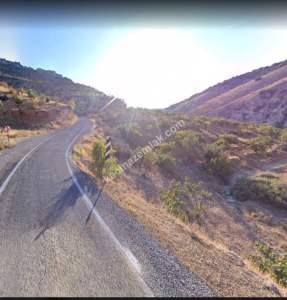 Asfalta Sıfır Nizip Tatlıcakda 560M2 Tek Tapu Fıstıklık 1