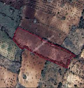 Bağbaşında 8750 M2 Tek Tapu Uygun Tarla 1