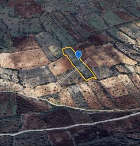 Bağbaşında 8750 M2 Tek Tapu Uygun Tarla 16