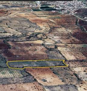 Bağbaşında 8750 M2 Tek Tapu Uygun Tarla 11