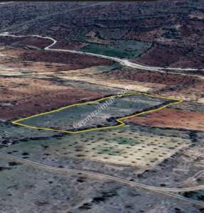 Bağbaşında 8750 M2 Tek Tapu Uygun Tarla 15