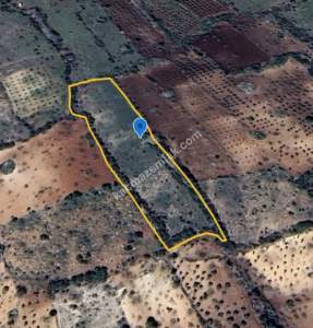 Bağbaşında 8750 M2 Tek Tapu Uygun Tarla 18