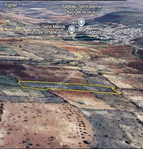 Bağbaşında 8750 M2 Tek Tapu Uygun Tarla 10