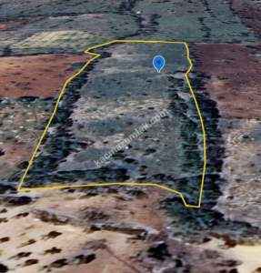 Bağbaşında 8750 M2 Tek Tapu Uygun Tarla 19