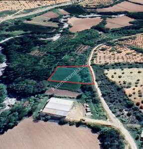 Oğuzeli Çaybaşında 1.675 M2 Tek Tapu Ucuz Tarla 16