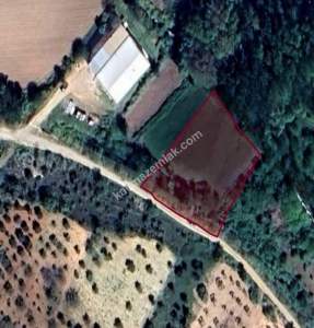 Oğuzeli Çaybaşında 1.675 M2 Tek Tapu Ucuz Tarla 2