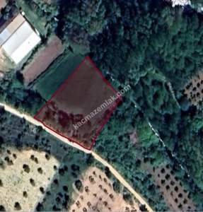 Oğuzeli Çaybaşında 1.675 M2 Tek Tapu Ucuz Tarla 18