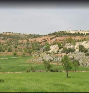 Asfalt Üstü Şehitkamil Karpuzkayada 6.780M2 Uygun Tarla 15