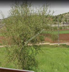 Asfalt Üstü Şehitkamil Karpuzkayada 6.780M2 Uygun Tarla 18