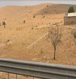 Anayol Üstü Küllüde Yan Yana 2 Adet 9 Dönüm Uygun Tarla 14