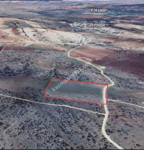 Kirlialıcı Da 22 Dönüm Tek Tapu Çok Uygun Tarla 11