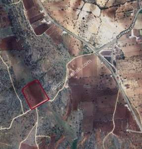 Kirlialıcı Da 22 Dönüm Tek Tapu Çok Uygun Tarla 8