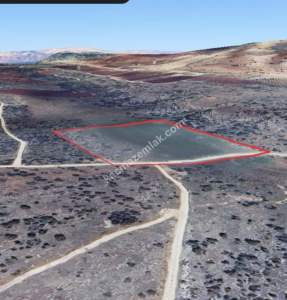 Kirlialıcı Da 22 Dönüm Tek Tapu Çok Uygun Tarla 6